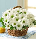 Country Daisy Basket