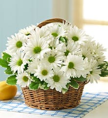 Country Daisy Basket