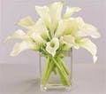 White Linen