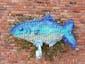 Blue Fish
