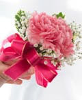 Pink Carnation Corsage or Wristlet