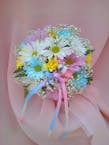 Mixed Colored Daisies