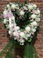 White & Pink Flowers